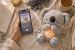 Load image into Gallery viewer, Free Gift: Audio Meditation
